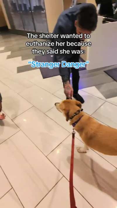 Dogs shouldn’t be judged solely by who they are in the shelter and I will die on that hill.