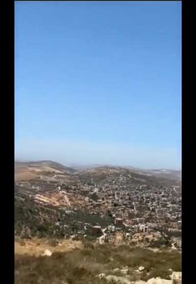 The shape of this tree, formed by decades of strong wind