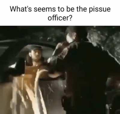 shid and camed carpool