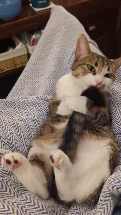 It's laundry time for Ellie!