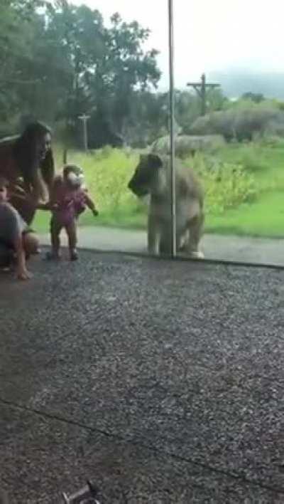 Juicy little snack attack