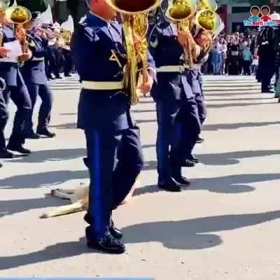 Dog stole the show by taking a nap in middle of a noisy army drill.