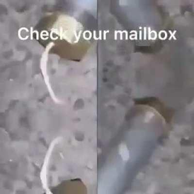 Bob Wicks will get you