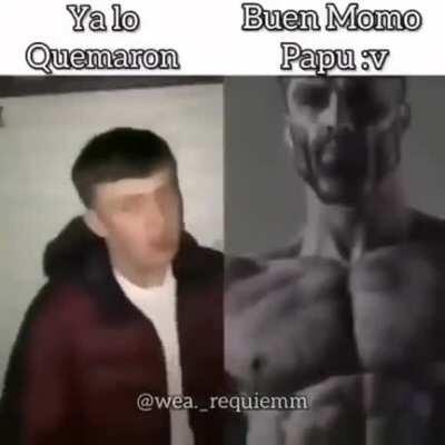 Buen Momo papu