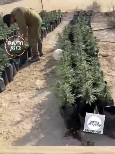 IDF Soldiers Excited Over Surprise Find At Gaza Border