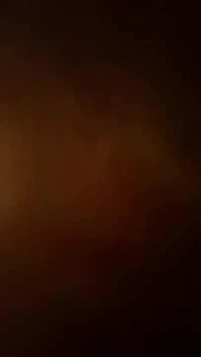 WCGW climbing on top of the refrigerator?