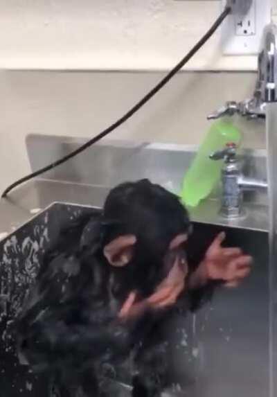 El admin dándose un baño, espero que quede muy limpio mi pana