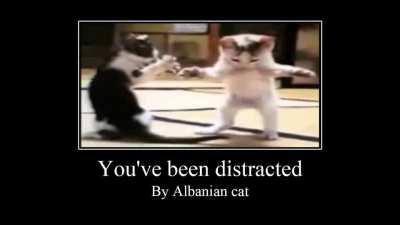 get prankd noob 😎😎