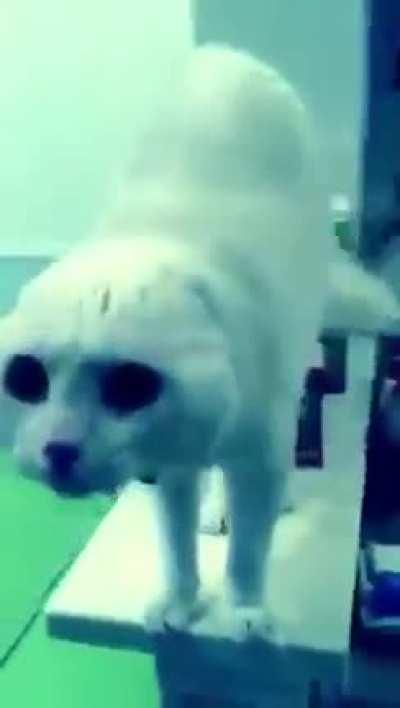 a visitor from outer space