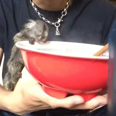 It burns, but I must know what it is!