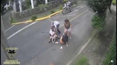 When dog bites someone do this: