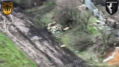 Drone bomb through the sunroof, extended and better quality