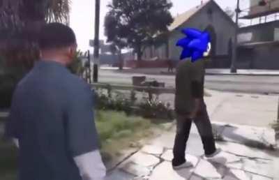 Saselandia saselandia