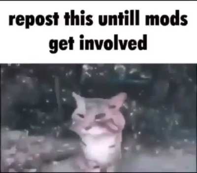kbcrob i4v i4gx83gx74xg47xv48,b4o ,o ob iv,8b 48h 94h9