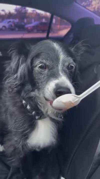 [OC]Took my old man out for some pumpkin ice cream. 🎃🍦