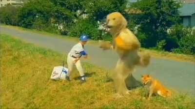 Un clásico el consomé panchi