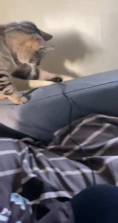 Charging cords are confusing