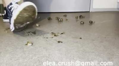 Hello I have a big collection of SC exchange or buy. Contact me if you are interested! Video