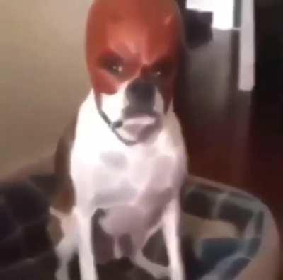 Yo intentando convertir este subreddit en el subreddit de godzilla español que tanto deseó