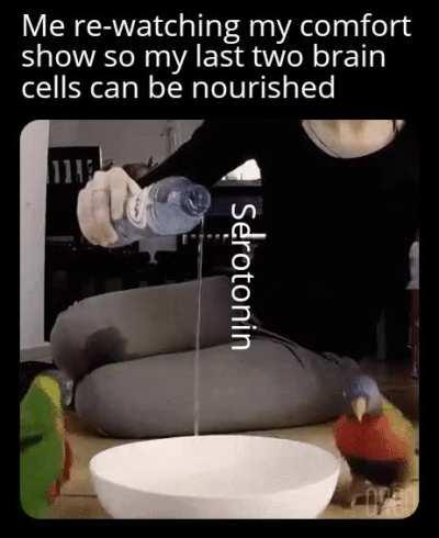 What's your go to show?