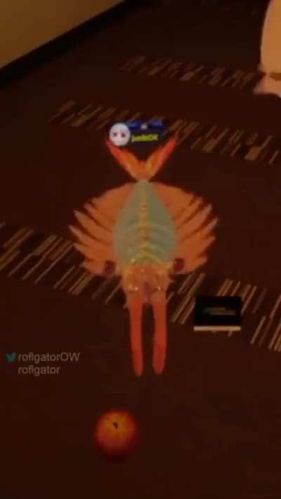 anomalocaris my beloved