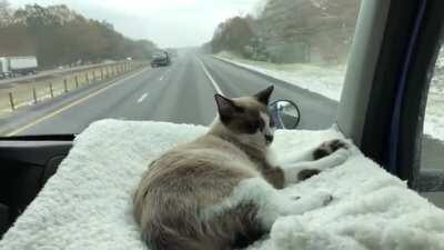 Going for a long journey..