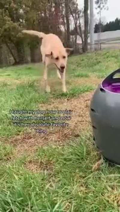 That little happy hop dance 🤩🤣