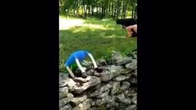 Start of 5x8 be like