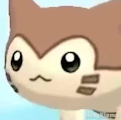 Me playing highlander enjoying myself and ignoring all the toxic people calling me trash