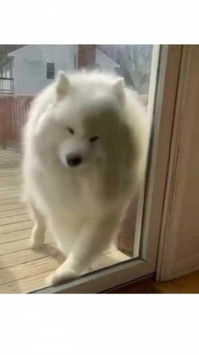 Lasst die Wolke rein!