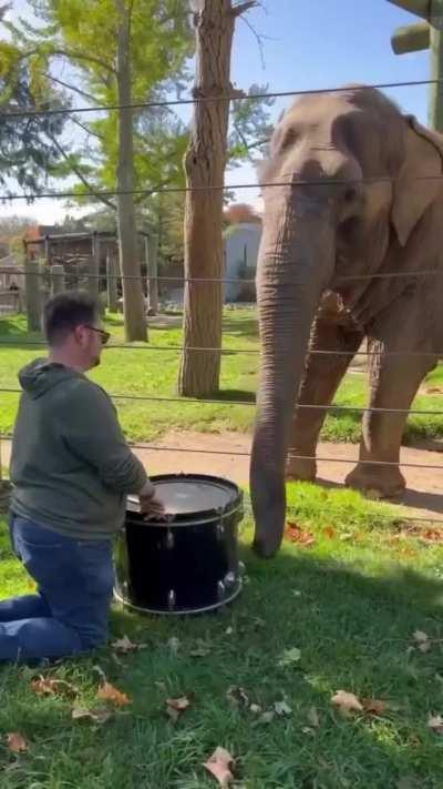 Elephants are highly intelligent animals. They are known for their problem-solving abilities, social intelligence, memory, and ability to learn and communicate. 🐘