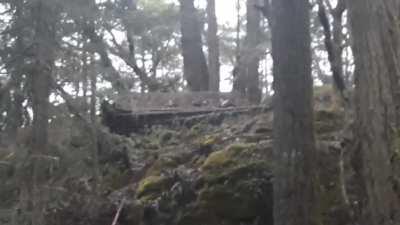 First hits on the step up I helped build