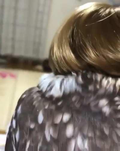 Hey you don't disturb me !