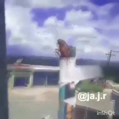 First Turkroach in space