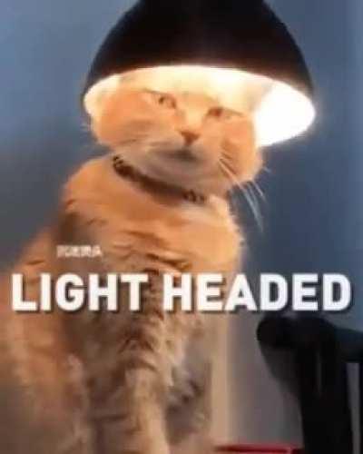 Not my brightest idea