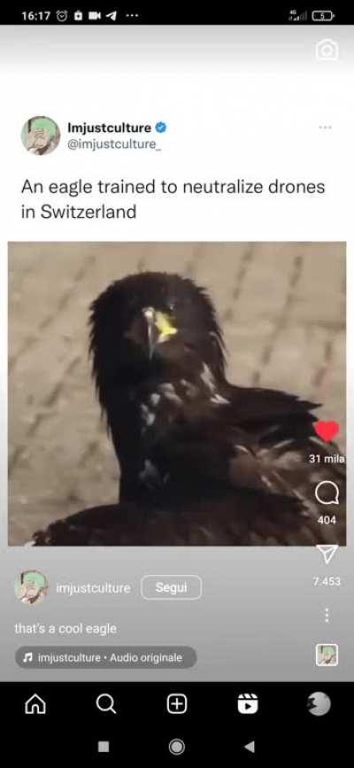 I guess this is why they don't need NATO 😳