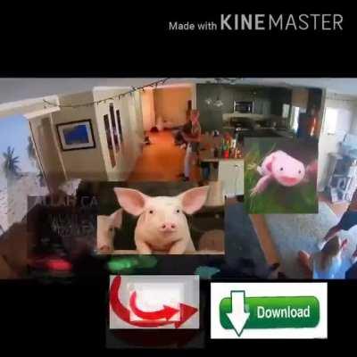 😳😳😳😳😳😳😳😂😂😂😂😂😂😄😂😂😄😂😄😂😄😄😂😀😄😀😂😀😂😄😀😄😀😂😀😄😀😄😀😂😀😂😄😀😂😀😂😀😳😂😄😂😂😳😂😳😄😳😂😳😄😂😀😀😳😀😄😀😳😀😄😀😂😀😄😄😀😳😀😄😄😀😂😀😄😀😳😀😳😀😄😀😂😀😄😀😄😀😳😄😀😀😂😂😀😀😂😄😀😄😀😂😀😂😀😄😀😂😀😂😀😄😀😄😀😂😀😄😀😳😀😄😀😂😀😂😀😄😀😄😀😂😂😀😄😀😳😀😳😀