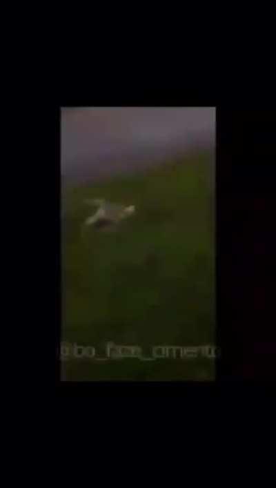 Título interessante