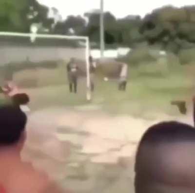 Yo cuando bana haga pb