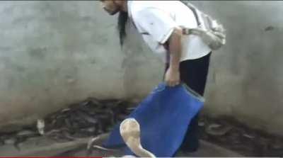 Circa 12-14 years ago? Factory reset the cobra with a slap