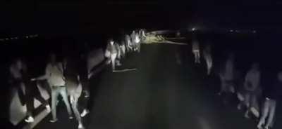 Truck driver in europe runs into trouble