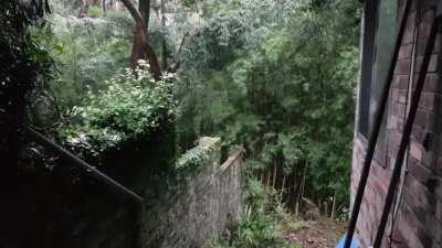 Rain and thunder in Sydney today! (1:30 with sound)