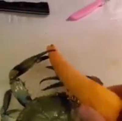 I'm 15 and this is yeet