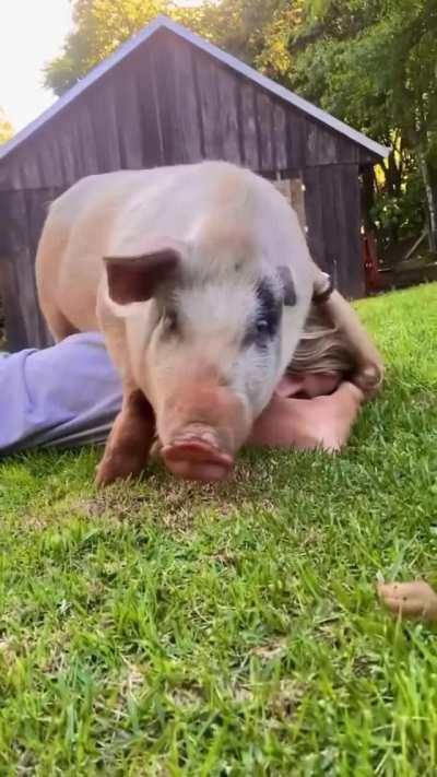 Ok human, I will cuddle with you