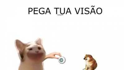 lagartixa malasiatica