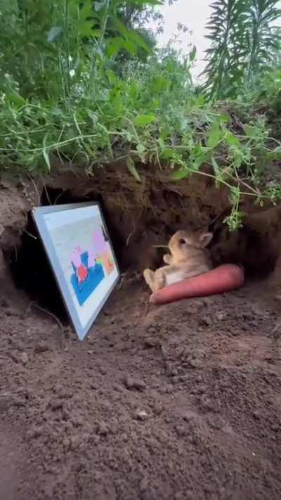 wordington entertainment