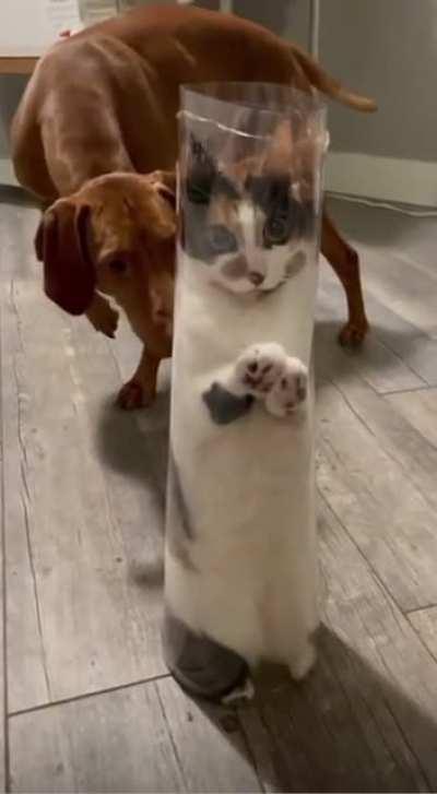 Well, if it isn’t the consequences of my own actions