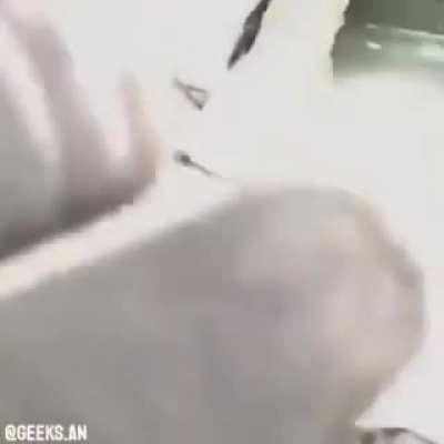 Bajen el volumen si están usando audífonos