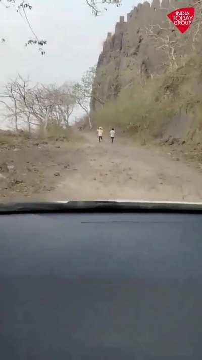 Some youth throw stones at a bee hive in madhya pradesh india , this the aftermath