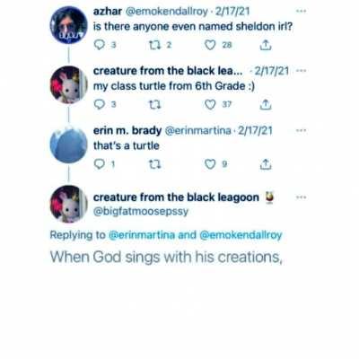 I made a mistake and deleted it the first time...